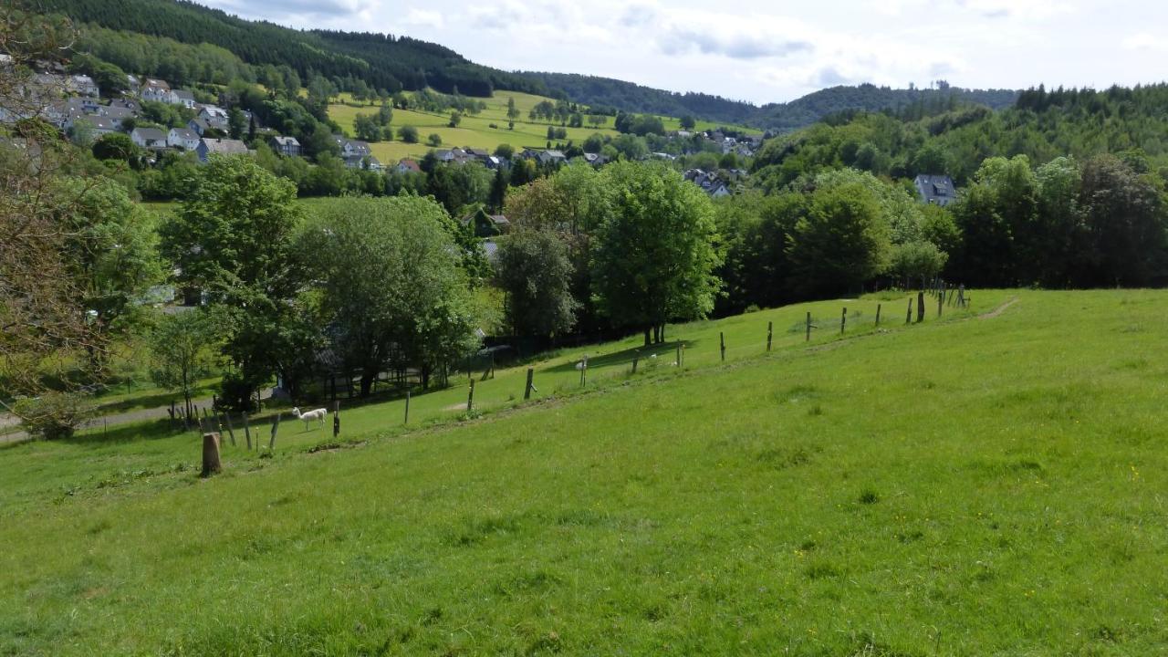Ferienhaus Broche Hilchenbach Εξωτερικό φωτογραφία