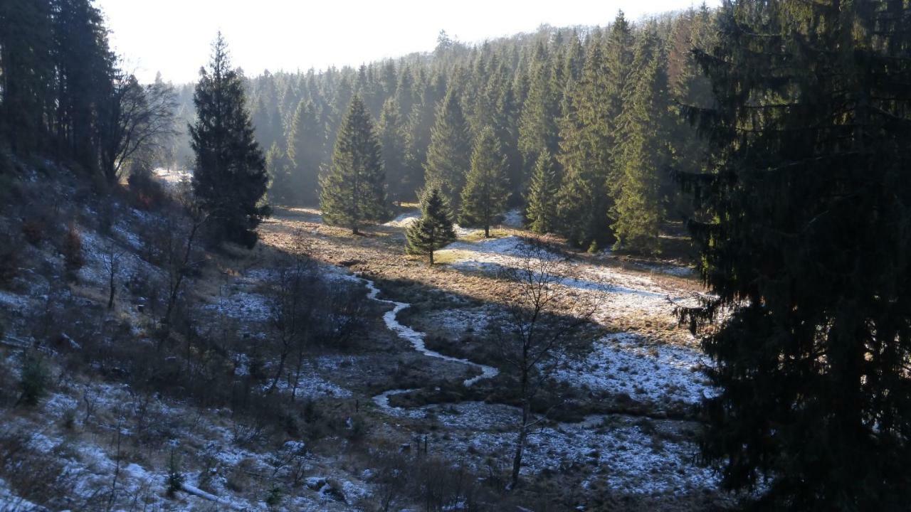 Ferienhaus Broche Hilchenbach Εξωτερικό φωτογραφία